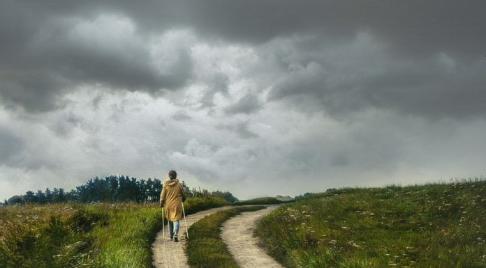 이 사십 년 동안에