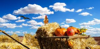 구약성경의 감사 모델