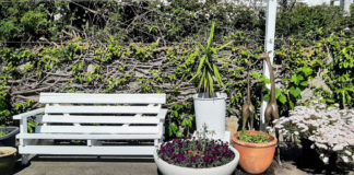 어마어마한 벤치