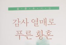 감사 열매로 푸른 황혼(시집)