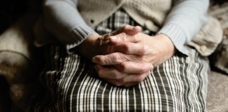 신약성경의 감사 모델