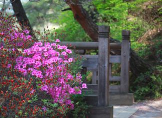 봄의 한구석에서 내 젊은 날의 흔적