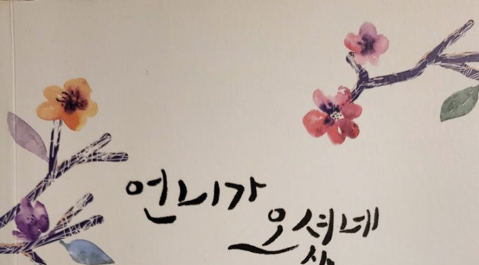 언니가 오셨네