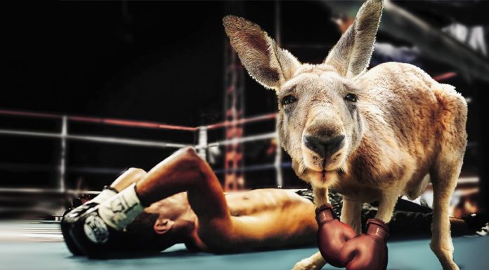 “하나님, 참으로 죄송합니다!”