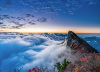 10월 다섯째 주 찬송/11월 첫째 주 찬송