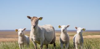 10월 셋째 주 찬송/10월 넷째 주 찬송