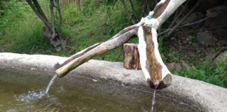 정결한 마음 . 마음과 믿음