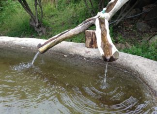 정결한 마음 . 마음과 믿음