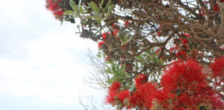 이름에는 이야기가 있다