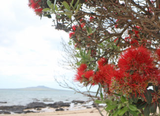 이름에는 이야기가 있다