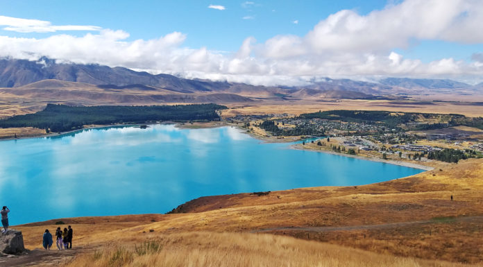 2023년 뉴질랜드 한인 교계 총정리