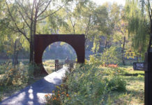 양재천(良才川)에서 칸트를 만나다