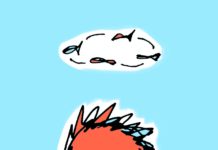 무식하면 정말 용감할까?