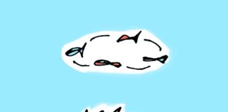 무식하면 정말 용감할까?