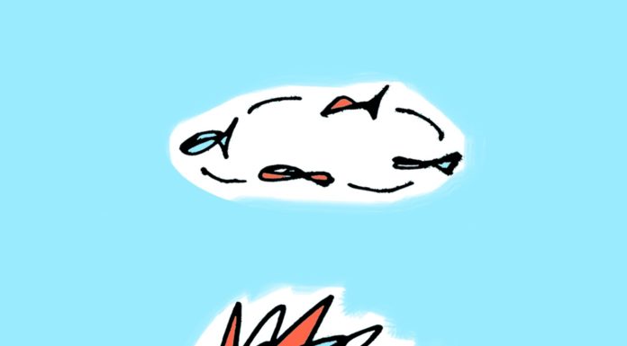 무식하면 정말 용감할까?