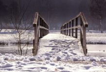 동토의 땅에 78년의 고난이 저문다!