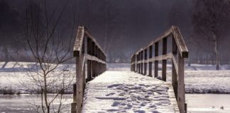 동토의 땅에 78년의 고난이 저문다!