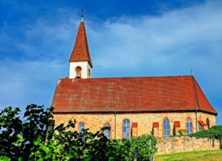 오클랜드 오라토리오 코랄,제 6회 헨델 메시아 대공연