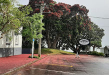 레드 크리스마스(Red Christmas)!