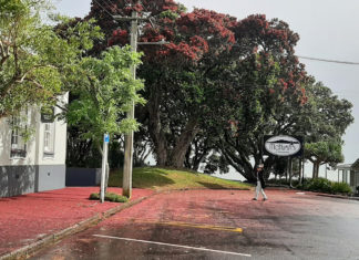 레드 크리스마스(Red Christmas)!