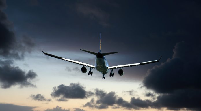 특별기가 떴네요!