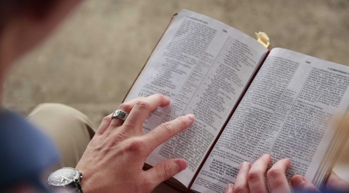 거룩한 교회 . 거룩한 단체