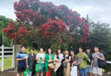 오레레 성탄전도축제