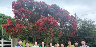 오레레 성탄전도축제