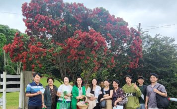 오레레 성탄전도축제