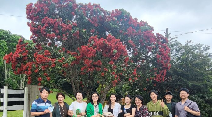 오레레 성탄전도축제