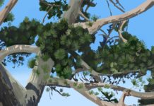 여름은_ 푸른빛