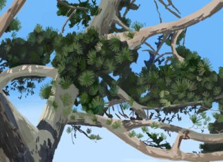 여름은_ 푸른빛