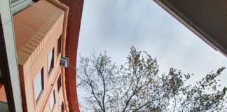 2024 뉴질랜드 한인교회 40년 맞아