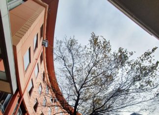 2024 뉴질랜드 한인교회 40년 맞아