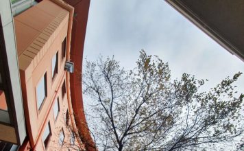 2024 뉴질랜드 한인교회 40년 맞아