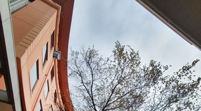 2024 뉴질랜드 한인교회 40년 맞아