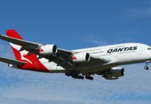 꽃밭으로 고꾸라져 뒹군다 해도