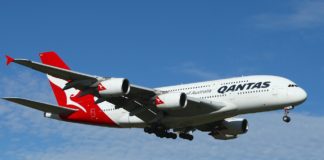 꽃밭으로 고꾸라져 뒹군다 해도