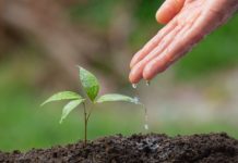 헌신, 후회하지 말자 씨앗은 자란다