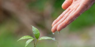 그 땅을 위한 기도 (사무엘하 21:14절)