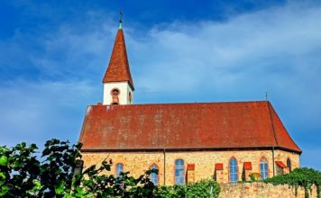 NZ 대한기독교여자절제, 2024성경암송대회