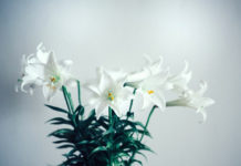 네흘류도프가 분류한 다섯 부류의 죄인