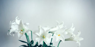 네흘류도프가 분류한 다섯 부류의 죄인