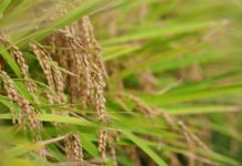 3월 둘째 주 찬송/3월 셋째 주