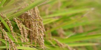 3월 둘째 주 찬송/3월 셋째 주