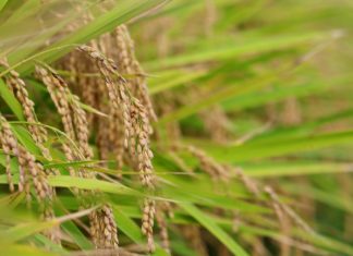 3월 둘째 주 찬송/3월 셋째 주