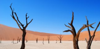 선교지의 시행착오