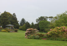 밤바다에서 정원을 생각하며