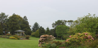 밤바다에서 정원을 생각하며