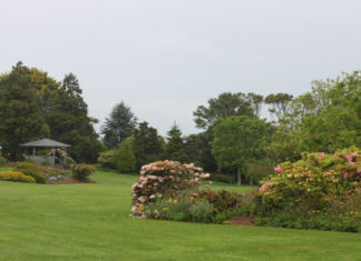 밤바다에서 정원을 생각하며